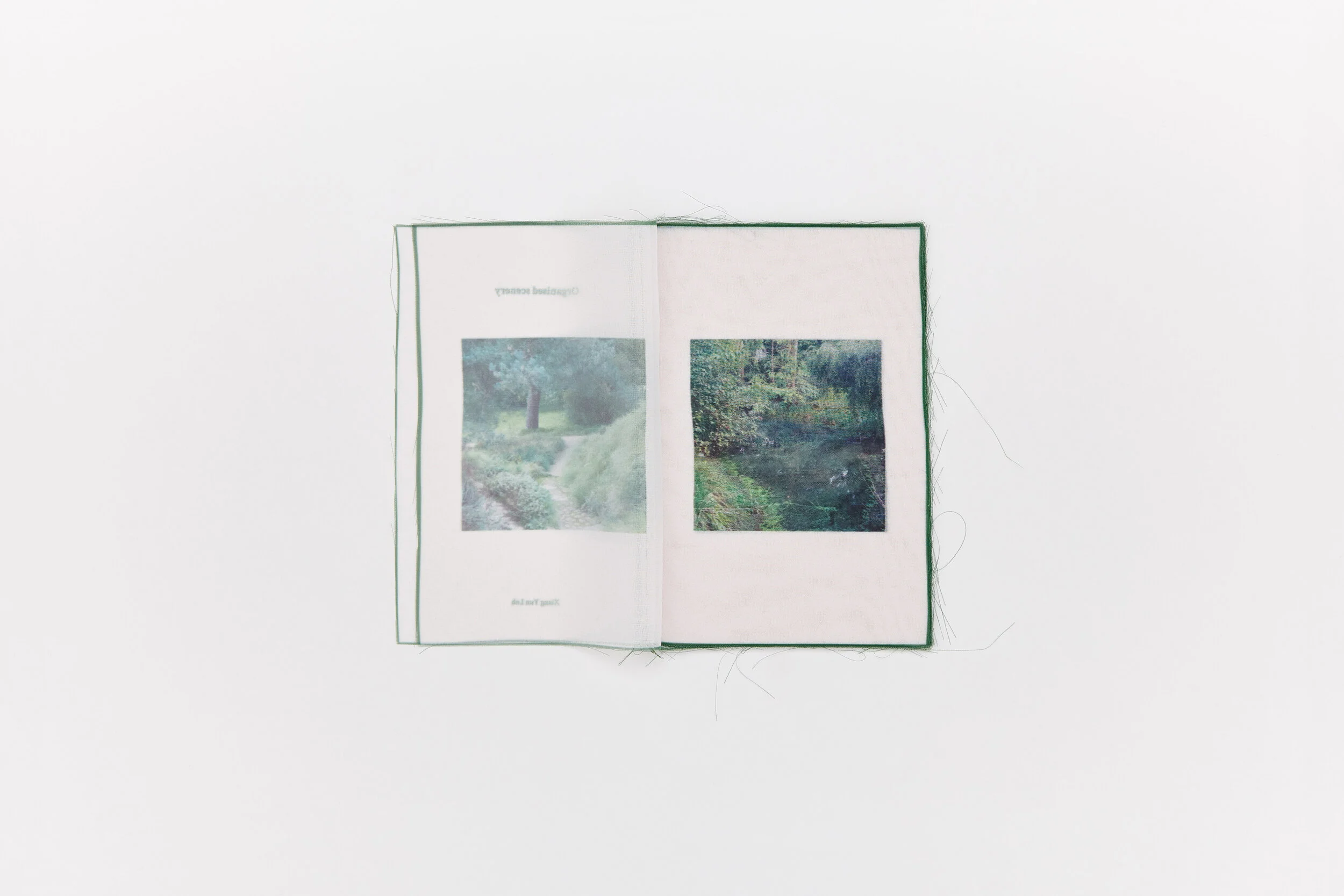 Organised scenery — Loh Xiang Yun
